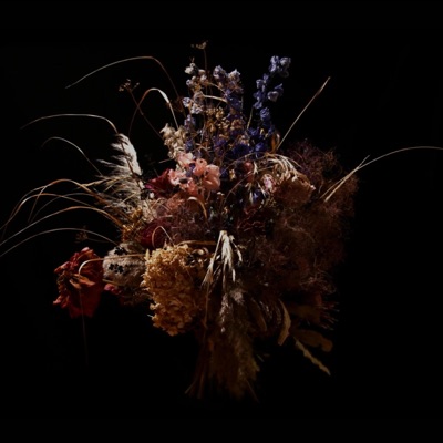 Upon Blessings - Single