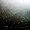 Breathe