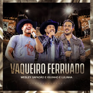Vaqueiro Ferruado (Ao Vivo) - Single
