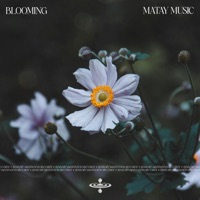 Blooming (feat. Sensory Meditation) - Single - Matay Music