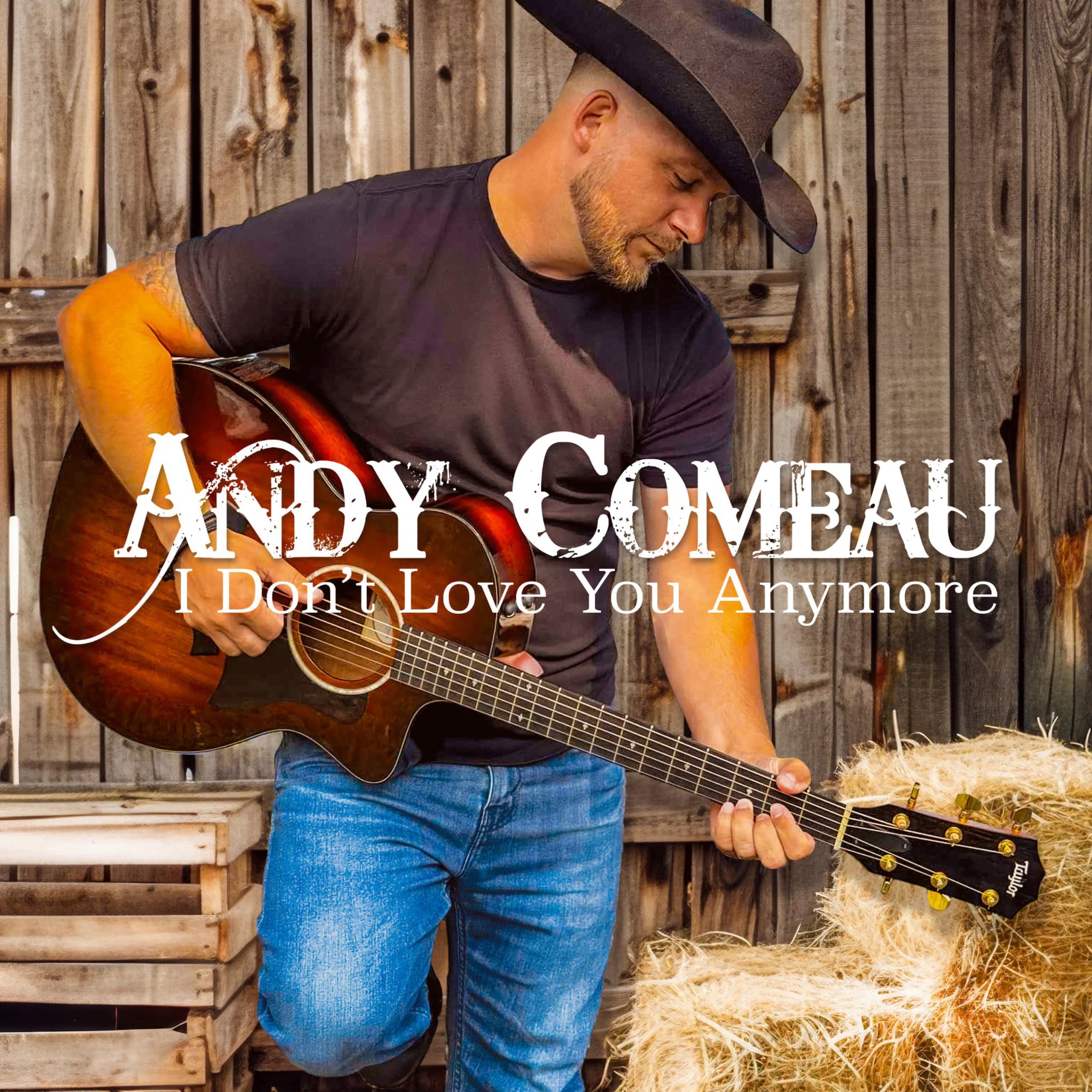 I Don't Love You Anymore - Single