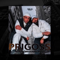 PRIGOSS (feat. Nany Morais) - Single - Nivaldo Lopes