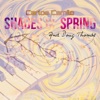 Shades Of Spring (feat. Doug CT Thomas)
