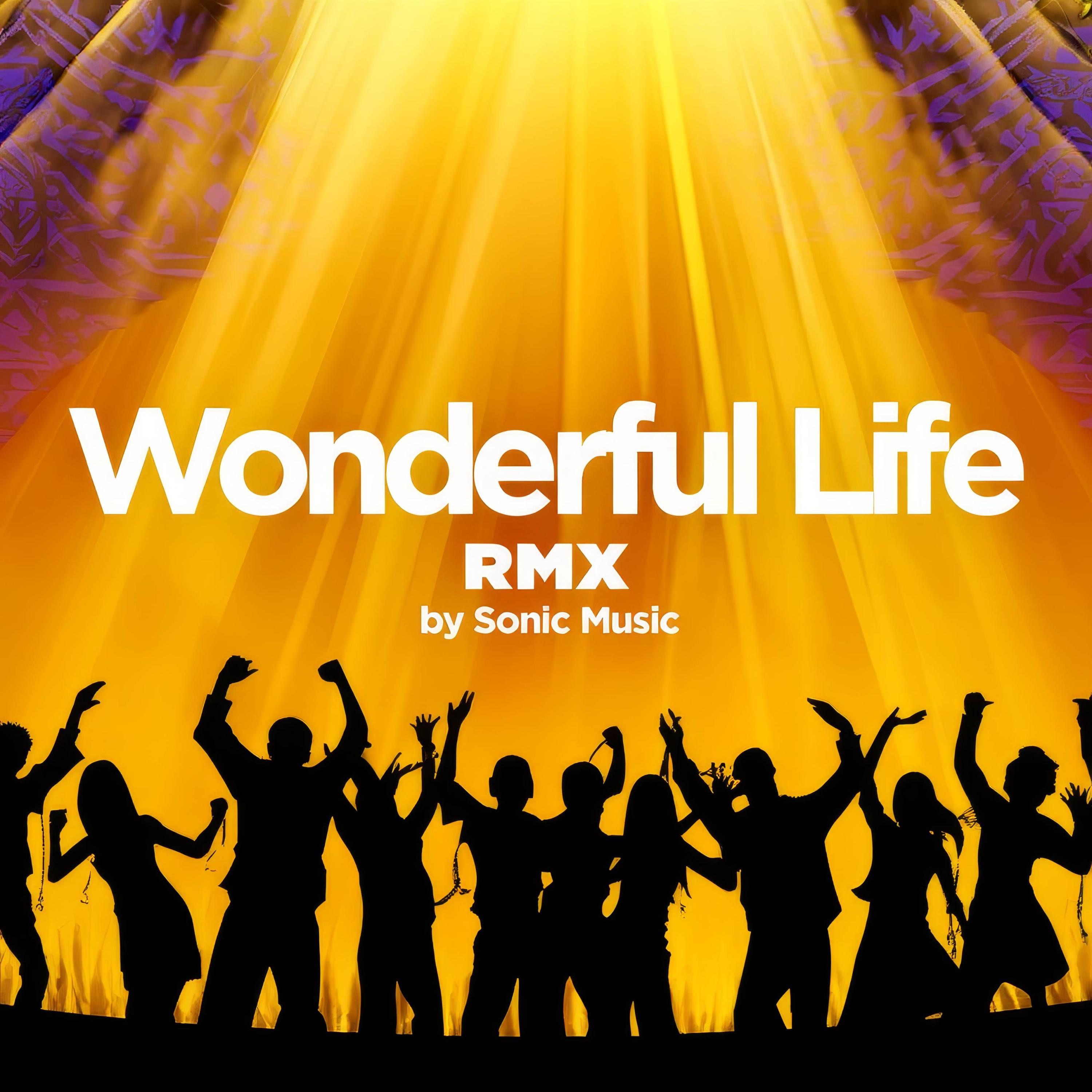 Wonderful Life (Tribal Rmx) - Single