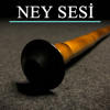 Ney Sesi - Yunus Emre artwork