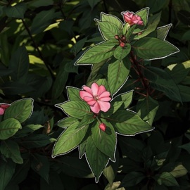 for the chapter yobeee