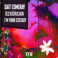 I'm Your Ecstasy - Single - Sait Esmeray