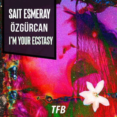 I'm Your Ecstasy - Single