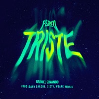 Perreo Triste - Single - Rainiel 