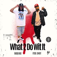 What 2 Do Wit It (feat. Melly Mel) - Single - ITSD.SHOT