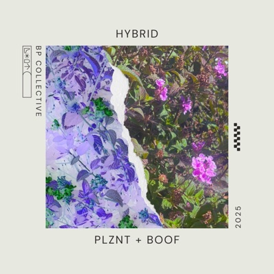 hybrid - Single