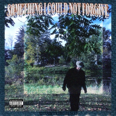 SOMETHING I COULD NOT FORGIVE - Single