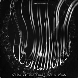 Sentimentos Detha, Young Prodigy Beats & Coala