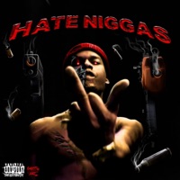 Hate N****s Unreleased (feat. Lud Foe) - Single - Stewie