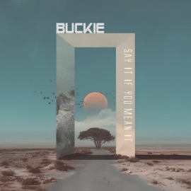 Say It If You Mean It (Flip Edit) Buckie