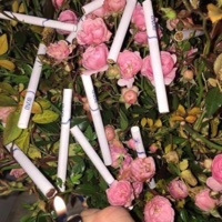 Cigarettes After Cigarettes - Single - $tVO