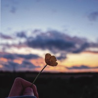 最美的約定 20年代 - Single - Laurence Larson