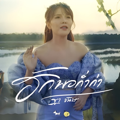 ฮักพอก่ำก่า - Single