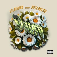 Daisy (feat. REZLOVESU) - Single - lilBIGBro
