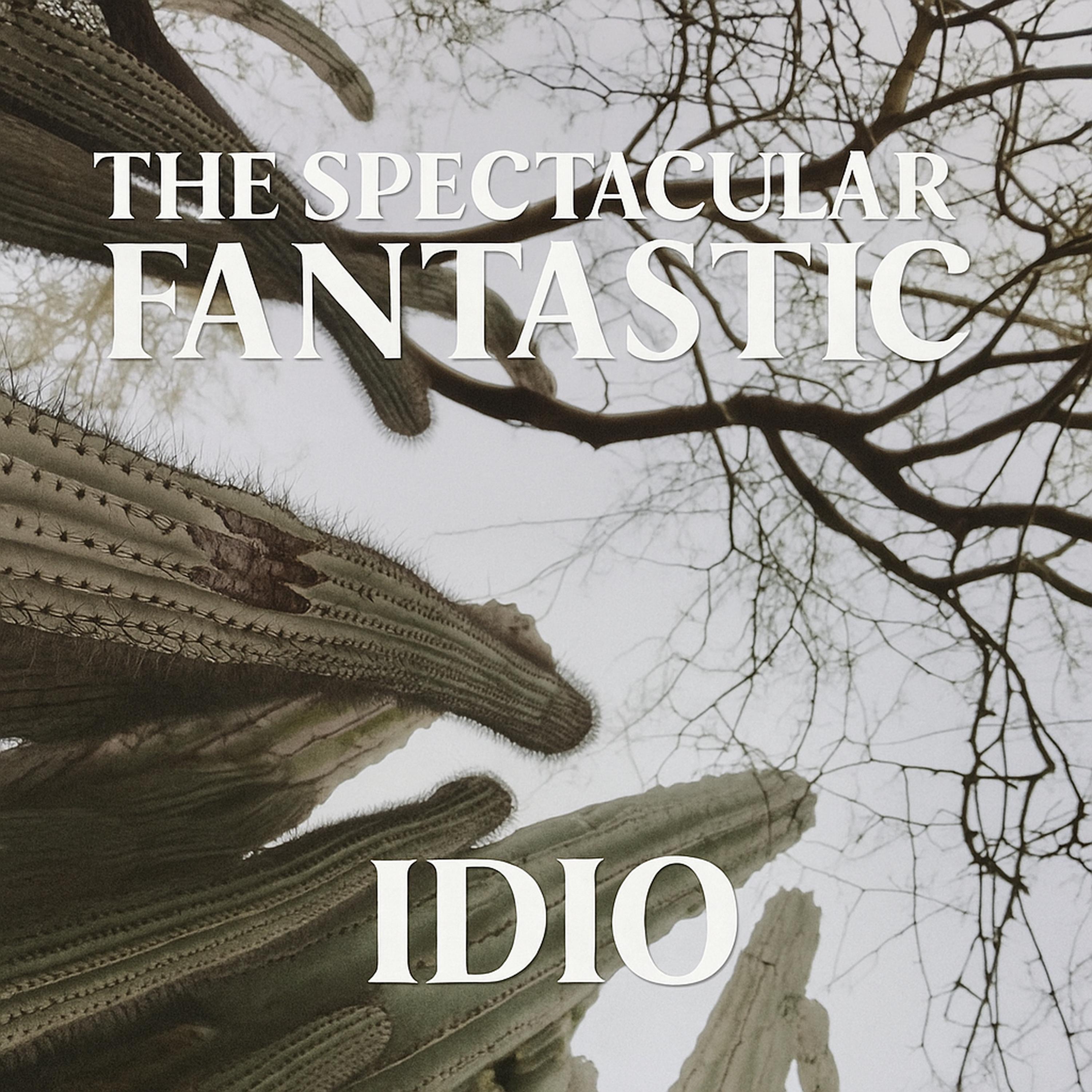 Idio - Single