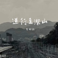 逆行至深山 - Single - 徐剑秋