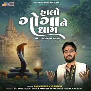 Halo Goga Ne Dham - Single