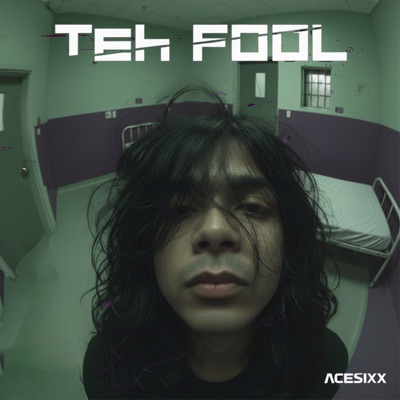 teh FoOl - Single