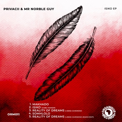 Reality of Dreams (Radio Edit) - Single