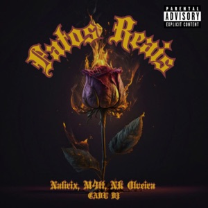 Fatos Reais (feat. Nalirix & M4tt & Cadu Dj)