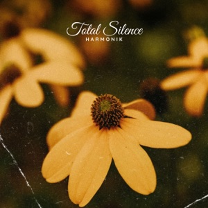 Total Silence - Single