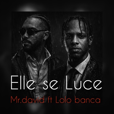 Ella se Luce (feat. Mr.david) - Single