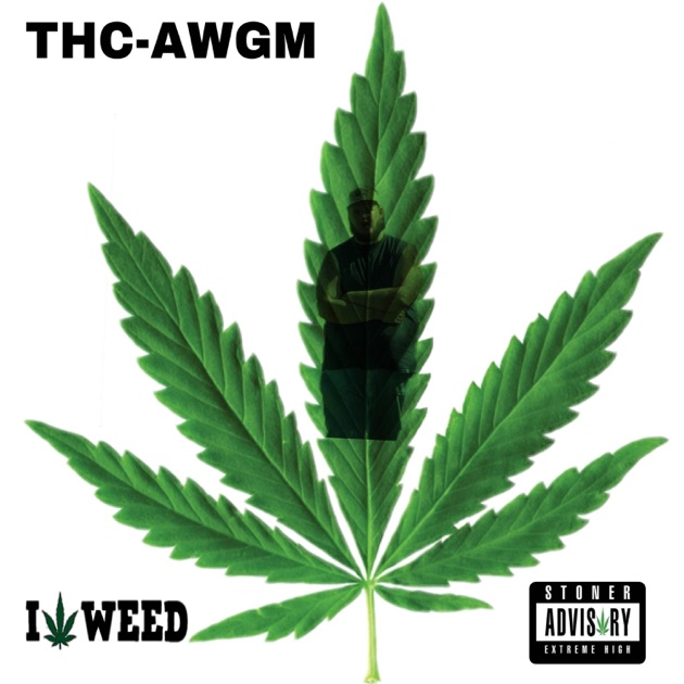 Thomas the Tank Engine Rap - Single - Album by AWGM - Apple Music