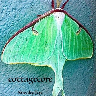 cottagecore