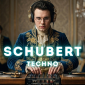 FRANZ SCHUBERT: Infinite Flow