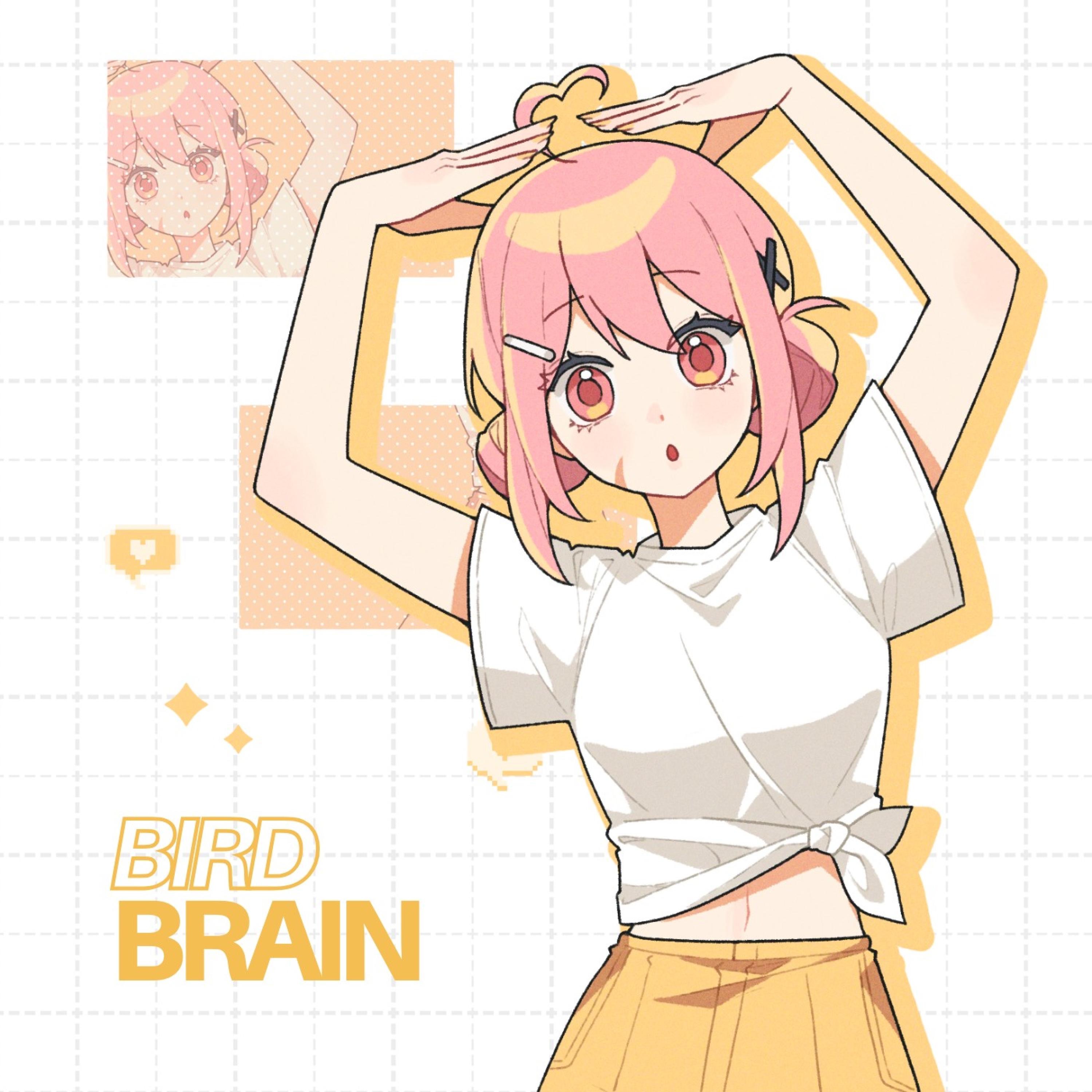 BIRDBRAIN - Single