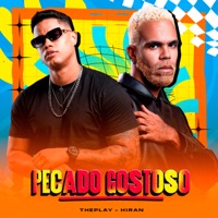 Pecado Gostoso - Single - BANDA THEPLAY & Hiran