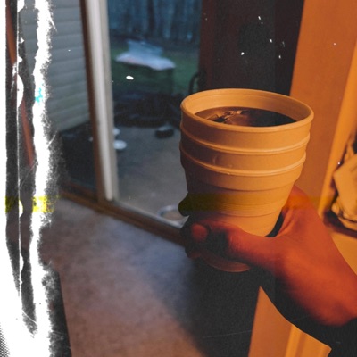 Who Is Jaytoothrowed