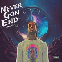 Never Gon End - Single - #PrinceB