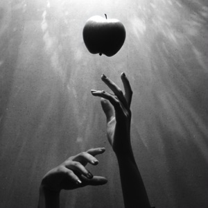 forbidden fruit - Single