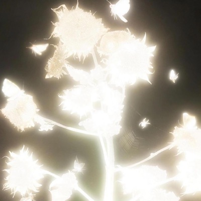 Leaving Meh - Single