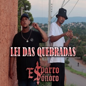 Lei Das Quebradas