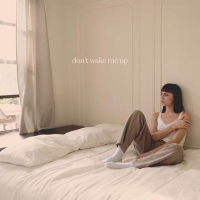 Don't Wake Me Up - Single