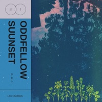 SUUNSET (Radio Edit) - Single - DJ OddFellow