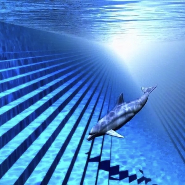 Underwater Break Time