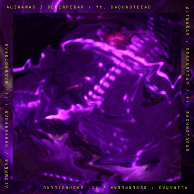 Desenredar (feat. BachNotDead) - Single