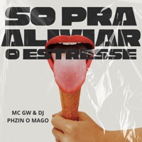 Só pra Aliviar o Estresse - Single - DJ PHZIN O MAGO, MC GW & Só Hits Records