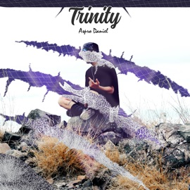 Trinity ASPRO DANIEL