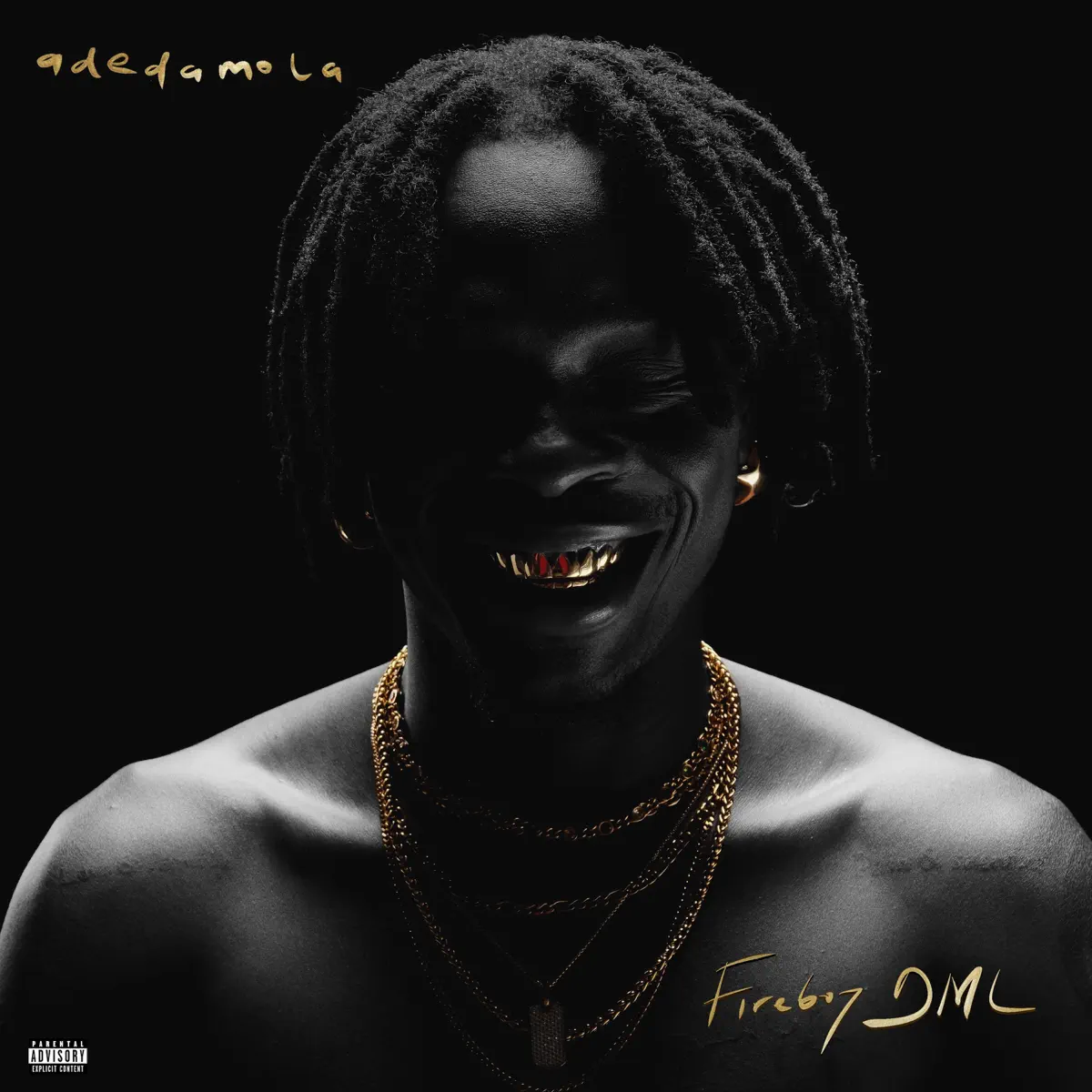 Fireboy DML - adedamola (2024) [iTunes Plus AAC M4A]-新房子