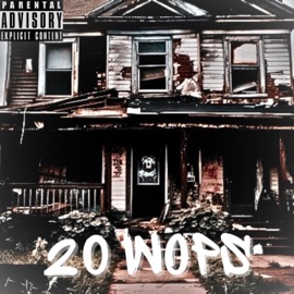 20 Wops (feat. Him Gatti) Reesemoney