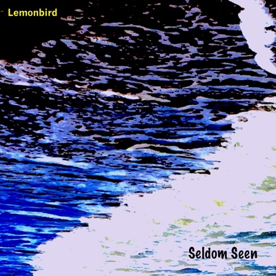 Seldom Seen - Single